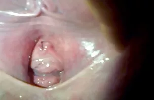 xxx 红发荡妇铁杆性交在宽床上的两个树干